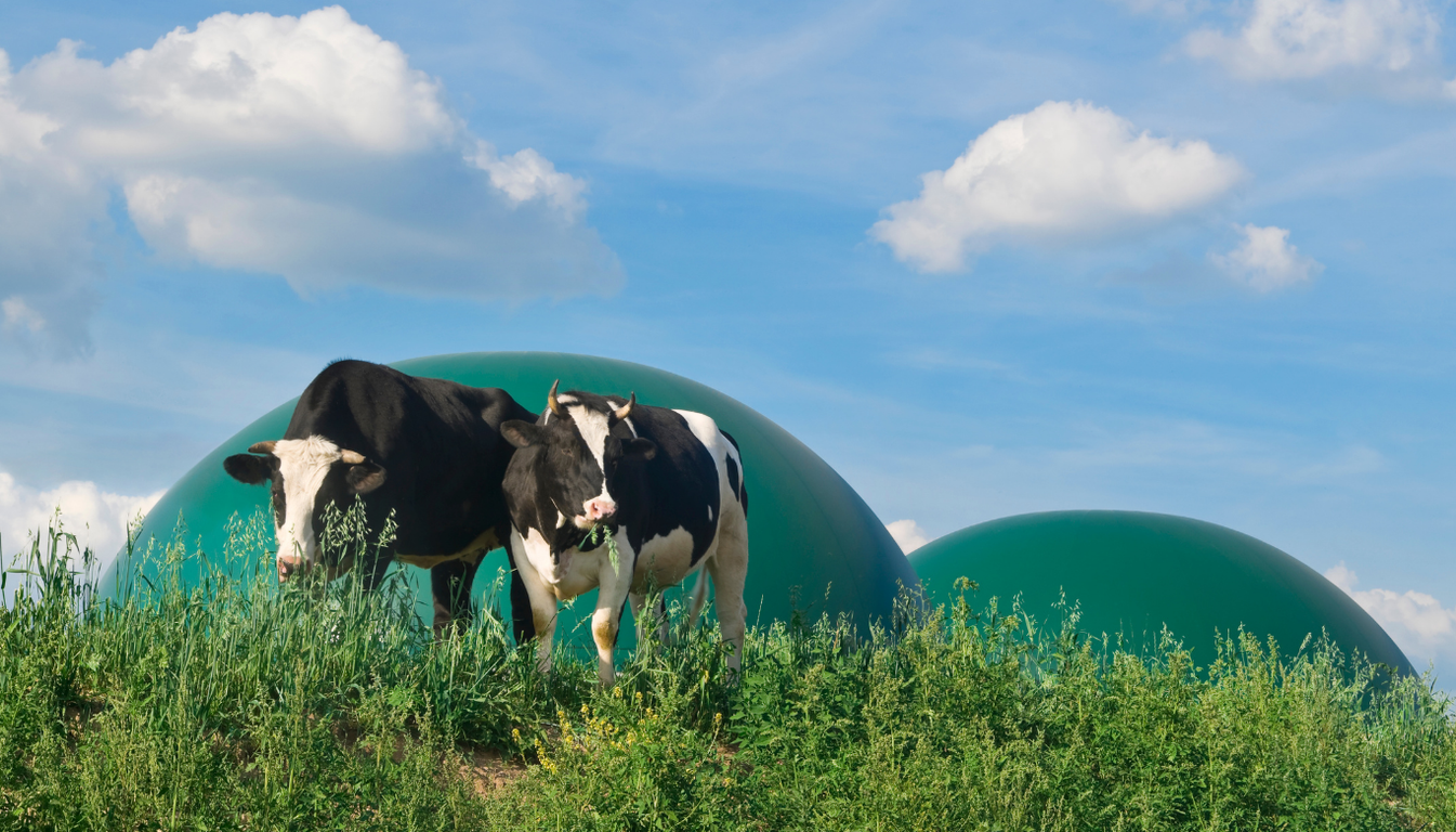 Biogas Production for Renewable Energy